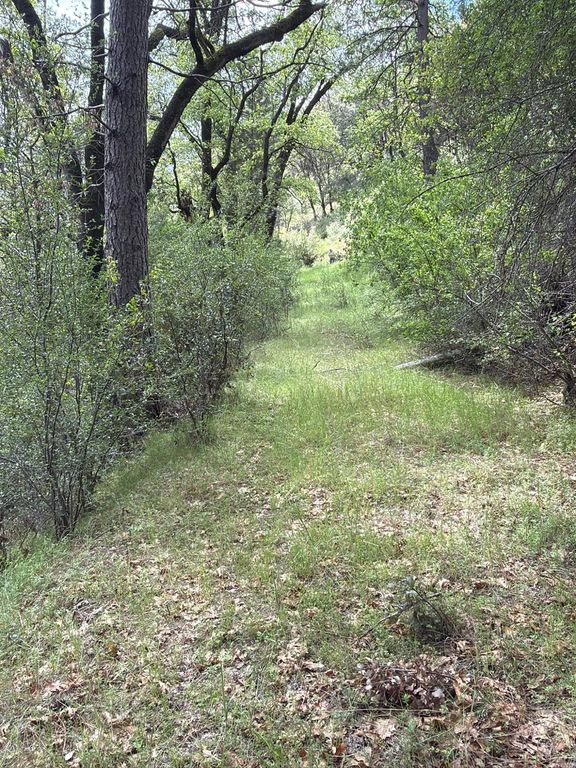 Image 23 of property listing at 39 Anderson Valley Road, Coulterville, CA 95311
