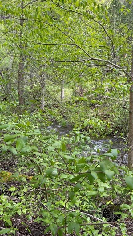 Image 25 of property listing at 39 Anderson Valley Road, Coulterville, CA 95311