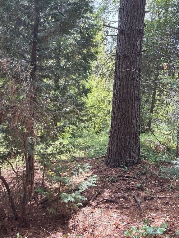 Image 26 of property listing at 39 Anderson Valley Road, Coulterville, CA 95311