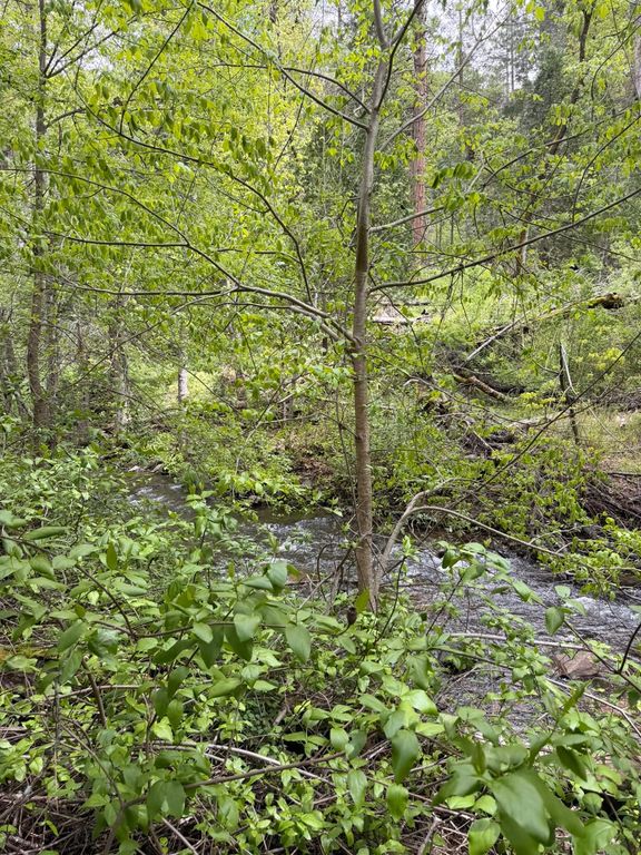 Image 31 of property listing at 39 Anderson Valley Road, Coulterville, CA 95311
