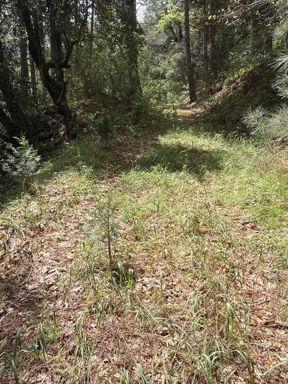 Image 4 of property listing at 39 Anderson Valley Road, Coulterville, CA 95311