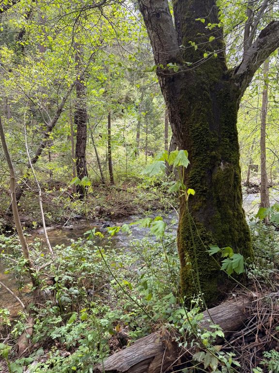 Image 6 of property listing at 39 Anderson Valley Road, Coulterville, CA 95311