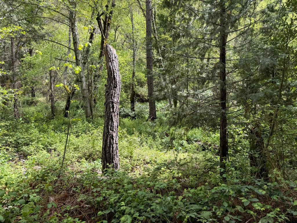 Image 7 of property listing at 39 Anderson Valley Road, Coulterville, CA 95311