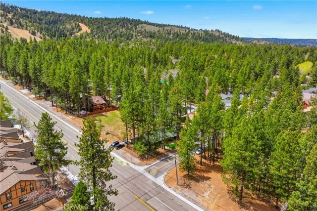41869 Brownie Lane, Big Bear Lake, CA 92315