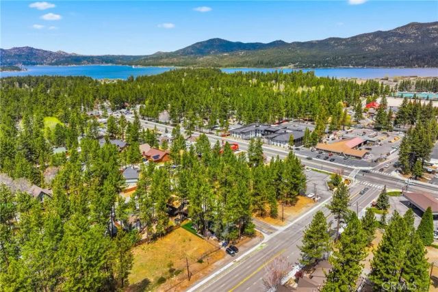 41869 Brownie Lane, Big Bear Lake, CA 92315
