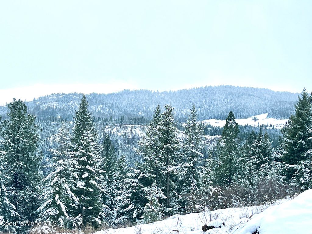 13416 S Runway LN, Harrison, ID 83833 photo 16