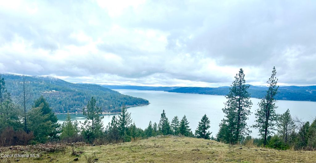 13416 S Runway LN, Harrison, ID 83833 photo 9