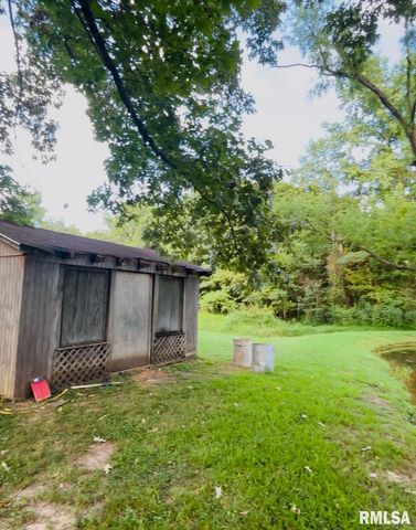 64 Jimmy Lane, Desoto, IL 62924