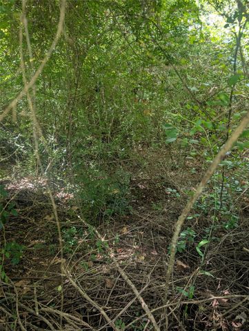 0 County Road 3419, Hawkins, TX 75765