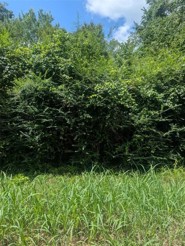 0 County Road 3419, Hawkins, TX 75765