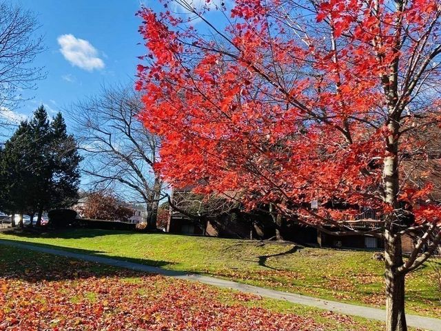 144 Kenrick St 34, Boston, MA 02135