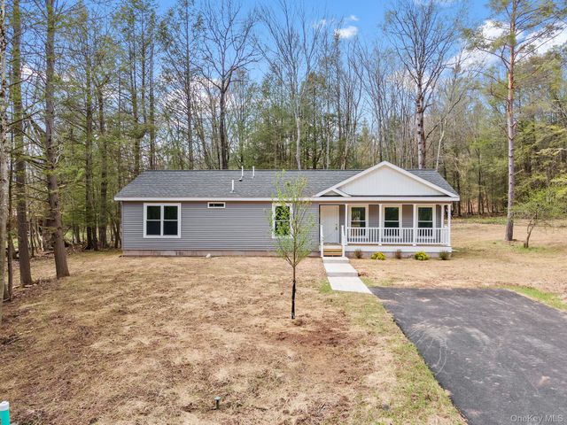45 Pinehurst Drive W, Liberty, NY 12754