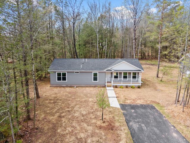 45 Pinehurst Drive W, Liberty, NY 12754