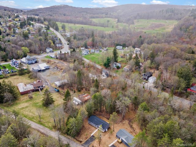 45 Pinehurst Drive W, Liberty, NY 12754