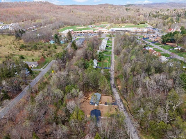 45 Pinehurst Drive W, Liberty, NY 12754