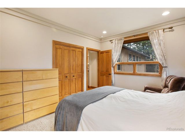 1230 Cottontail Trl, Woodland Park, CO 80863