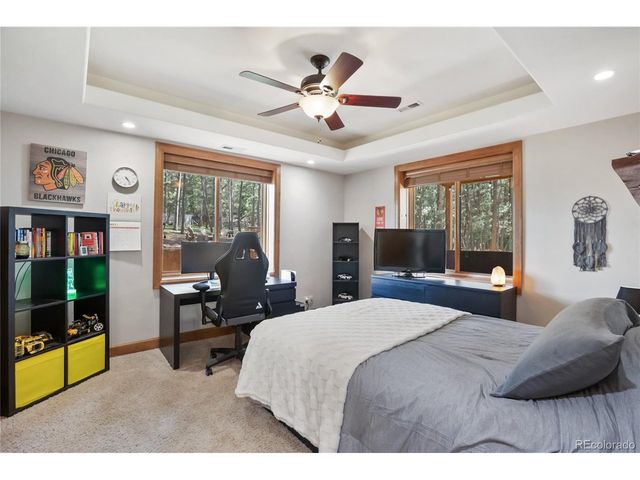 1230 Cottontail Trl, Woodland Park, CO 80863