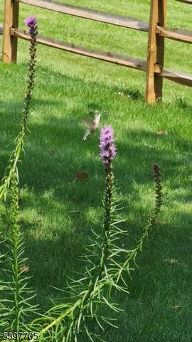 50 Blau Rd, Mansfield Twp., NJ 07840