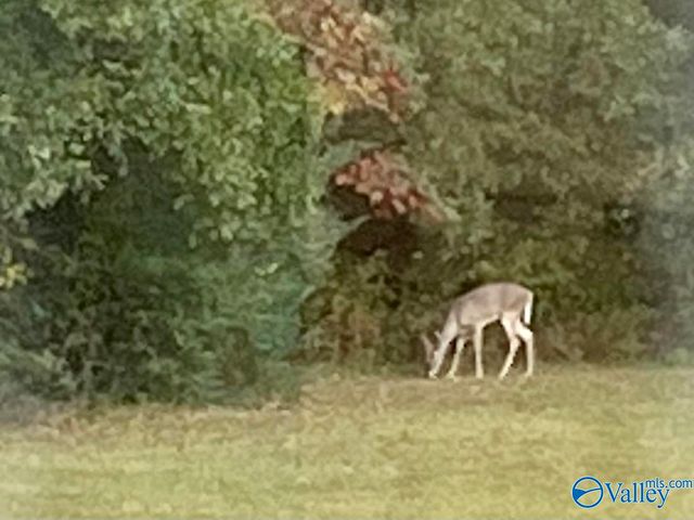 20 ac Sierra Drive SW, Decatur, AL 35603