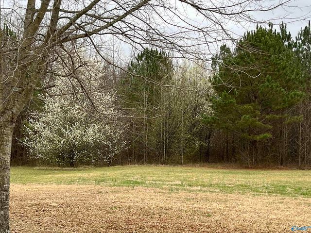 20 ac Sierra Drive SW, Decatur, AL 35603