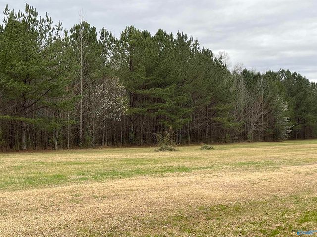 20 ac Sierra Drive SW, Decatur, AL 35603