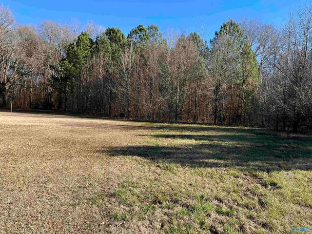 20 ac Sierra Drive SW, Decatur, AL 35603