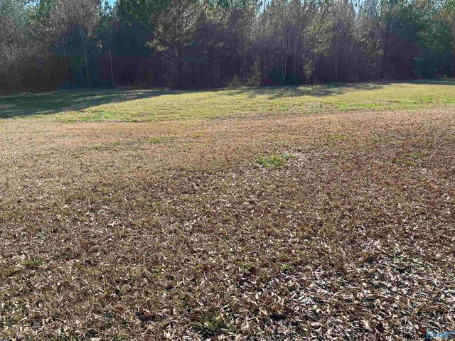 20 ac Sierra Drive SW, Decatur, AL 35603