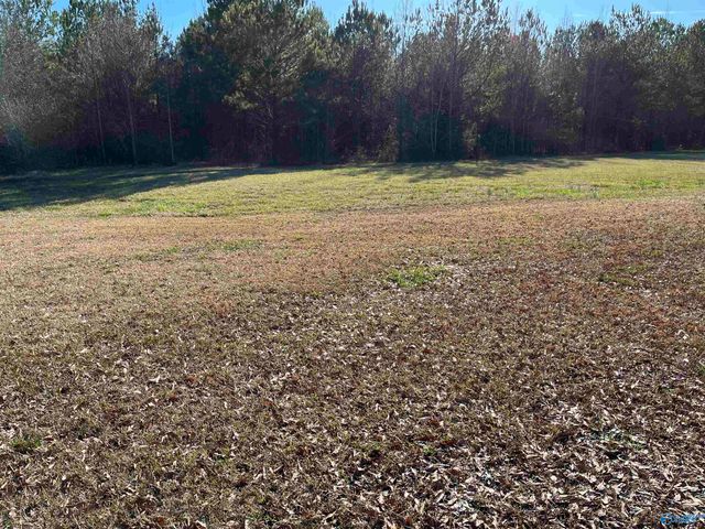 20 ac Sierra Drive SW, Decatur, AL 35603
