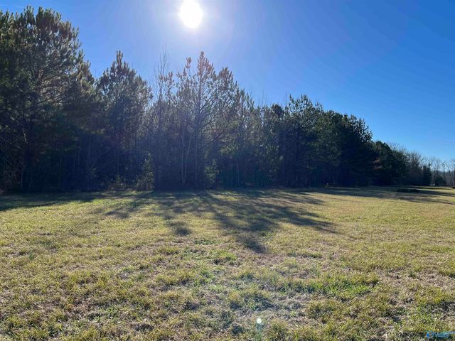 20 ac Sierra Drive SW, Decatur, AL 35603