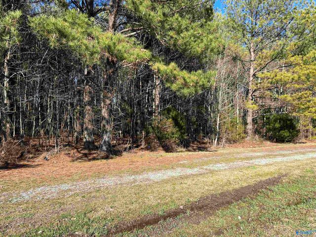 20 ac Sierra Drive SW, Decatur, AL 35603