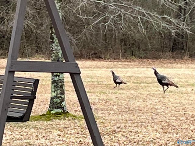 20 ac Sierra Drive SW, Decatur, AL 35603