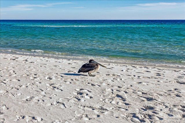 8477 Gulf Blvd 1802, Navarre Beach, FL 32566