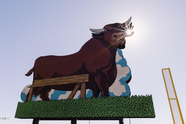 1107 Camden Avenue E, Durham, NC 27701