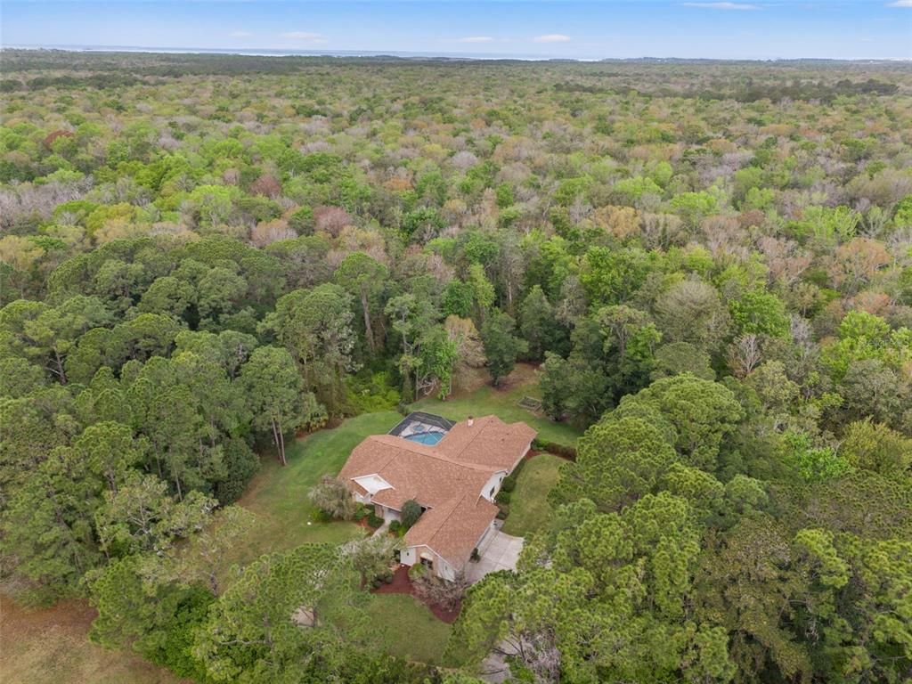 7397 ROYAL OAK DRIVE, Spring Hill, FL 34607