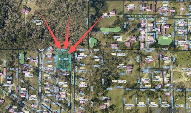 8 Tabony Ct, Walker, LA 70785