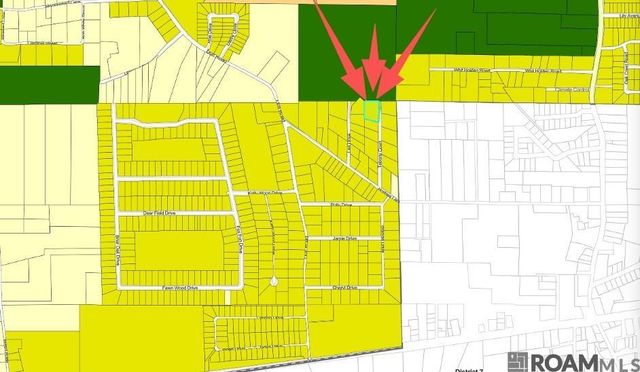 8 Tabony Ct, Walker, LA 70785