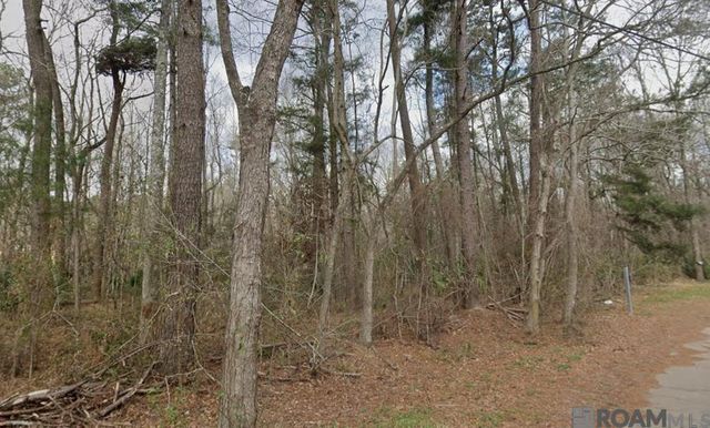 8 Tabony Ct, Walker, LA 70785