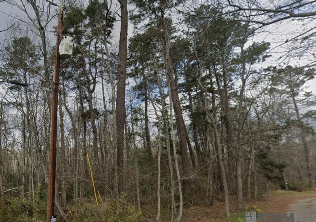 8 Tabony Ct, Walker, LA 70785