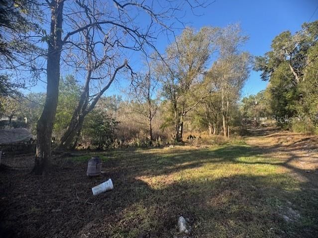 12512 CR 685, Webster, FL 33597