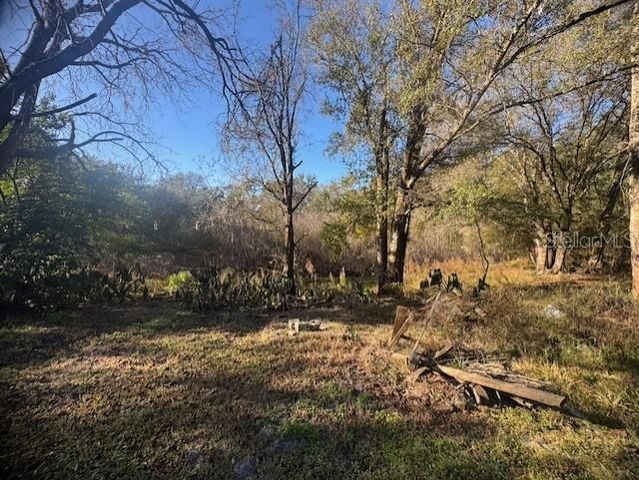 12512 CR 685, Webster, FL 33597