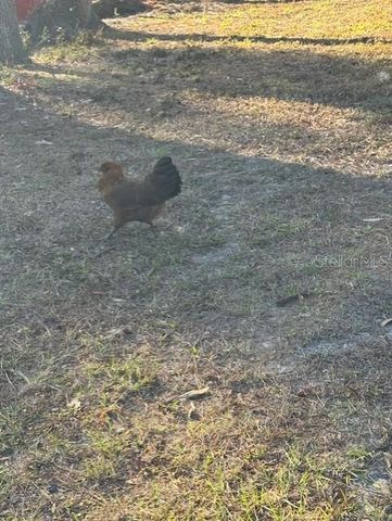 12512 CR 685, Webster, FL 33597