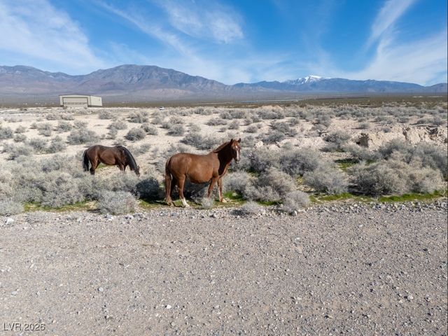 1180 East Airplane Place, Pahrump, NV 89060