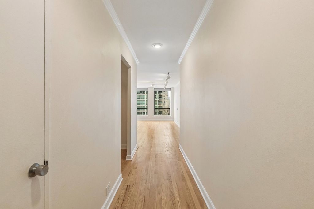 260 E CHESTNUT Street 2505, Chicago, IL 60611 — photo 3