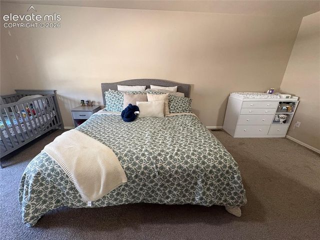 3098 Shikra View, Colorado Springs, CO 80916