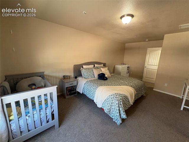 3098 Shikra View, Colorado Springs, CO 80916