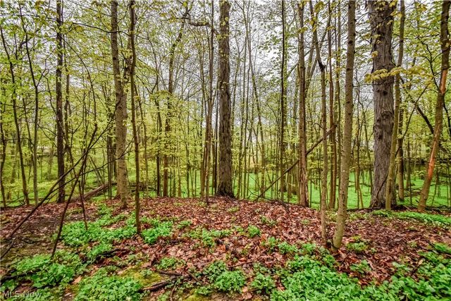 8242 Starburst Road, Mentor, OH 44060