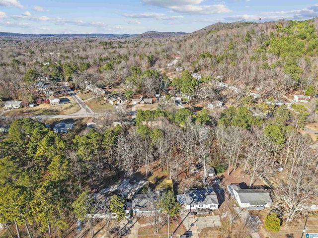 5648 DUG HOLLOW ROAD, Pinson, AL 35126