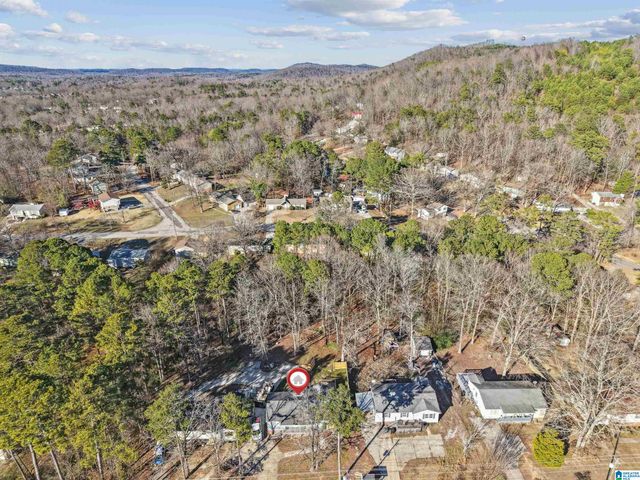 5648 DUG HOLLOW ROAD, Pinson, AL 35126