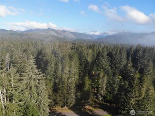 41 N Varden Way, Hoodsport, WA 98548