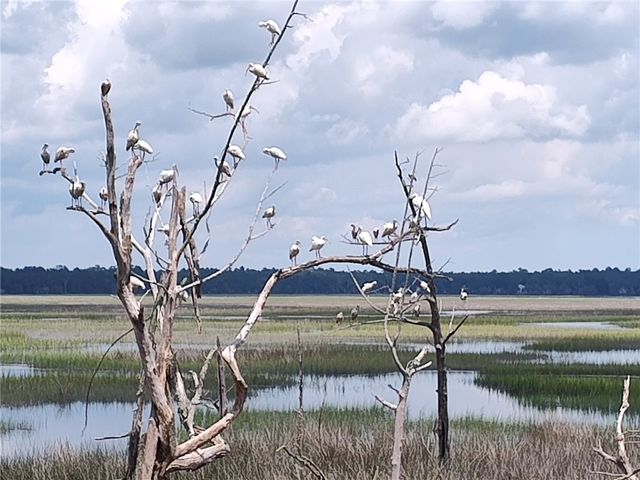 227 Jake Colton Drive, Kingsland, GA 31548